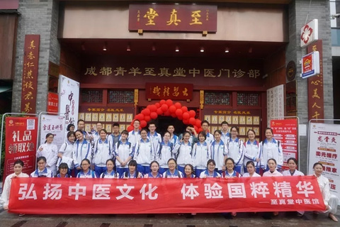 成都高端网站设计,成都集团网站建设案例